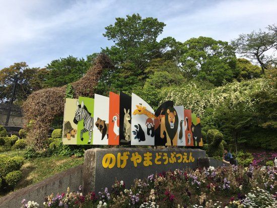 横浜市立野毛山動物園